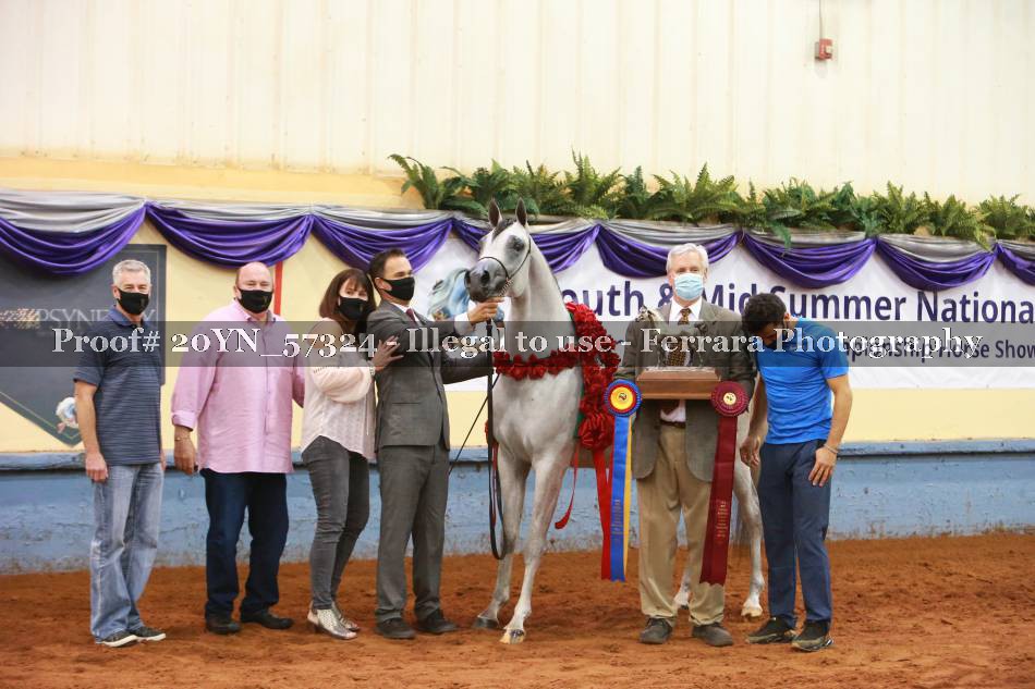 Proof 20YN_57324