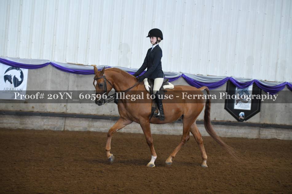 Proof 20YN_60596
