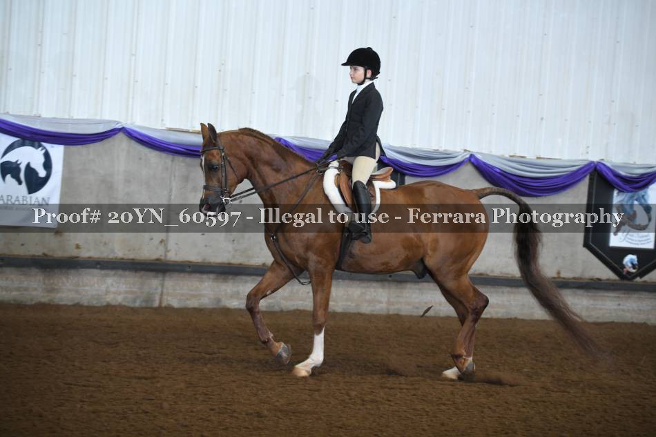 Proof 20YN_60597