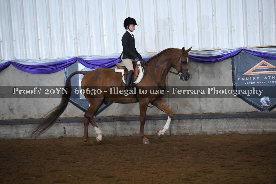 Proof 20YN_60630