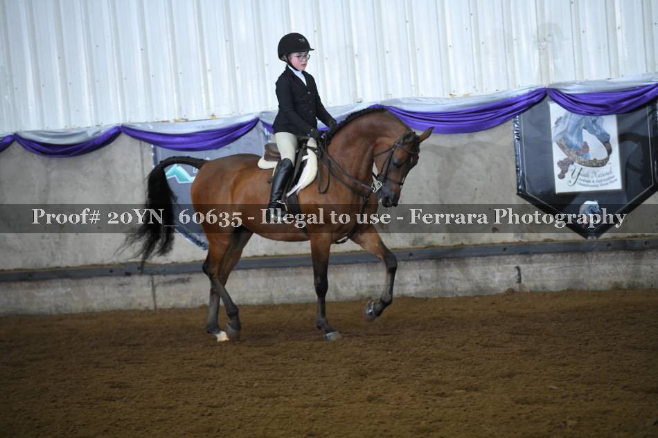 Proof 20YN_60635