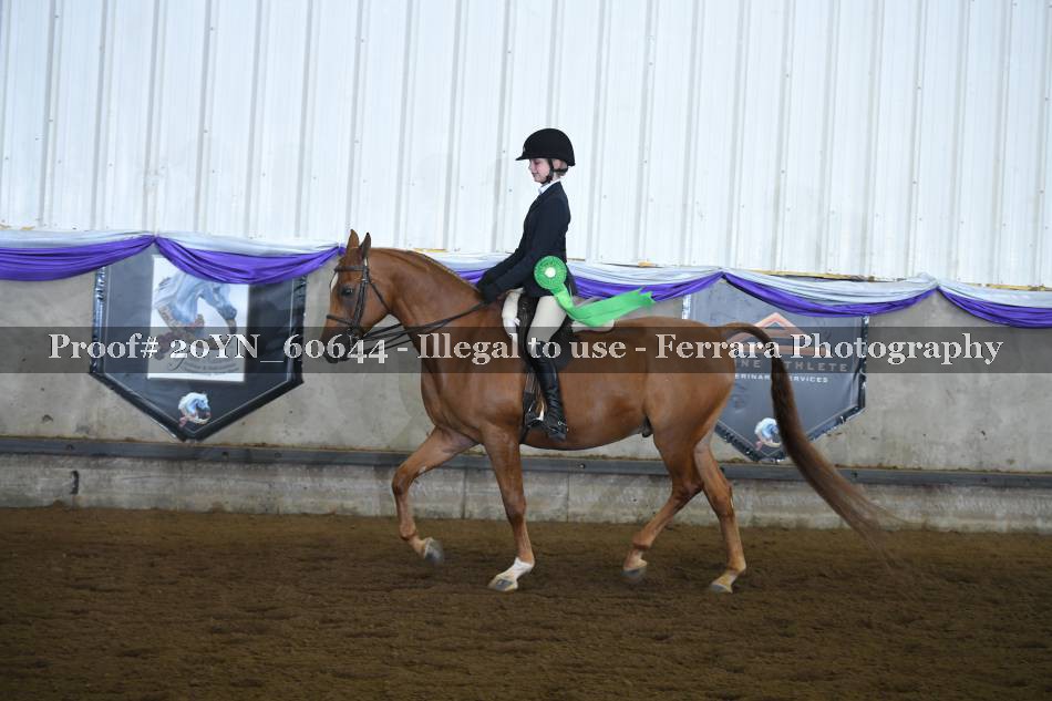 Proof 20YN_60644