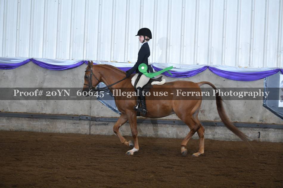 Proof 20YN_60645