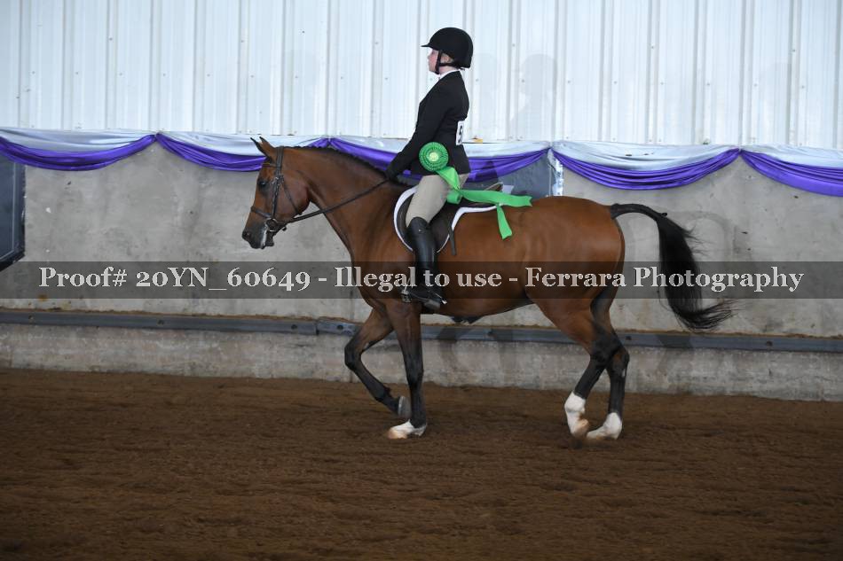 Proof 20YN_60649