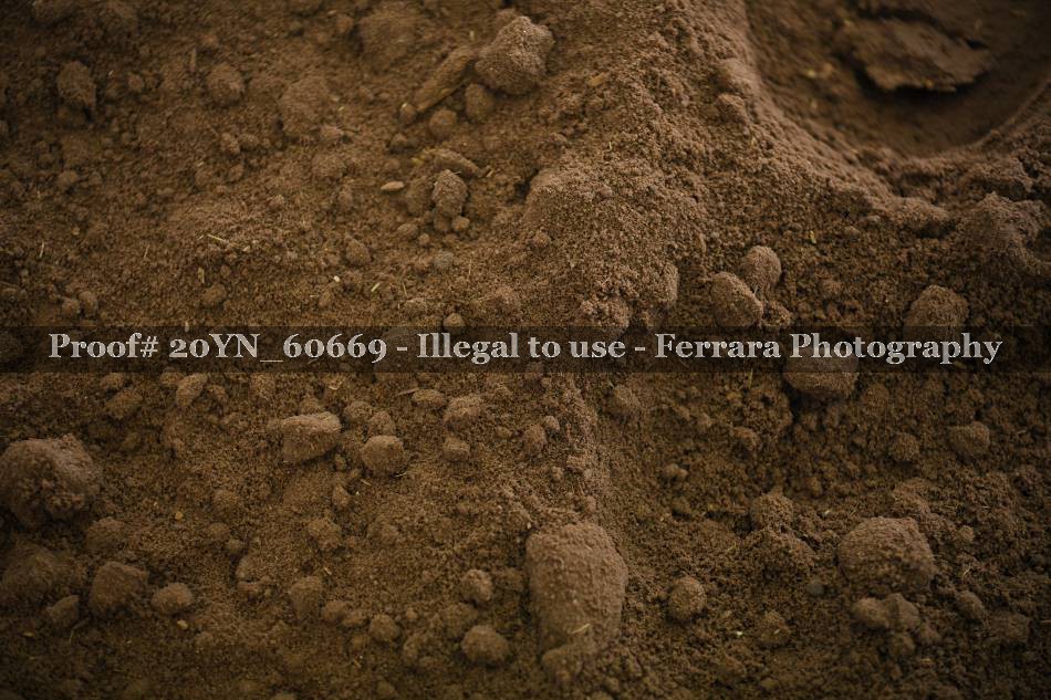 Proof 20YN_60669