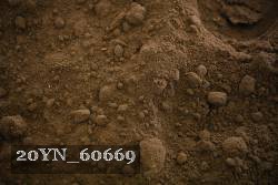 20YN_60669 proof