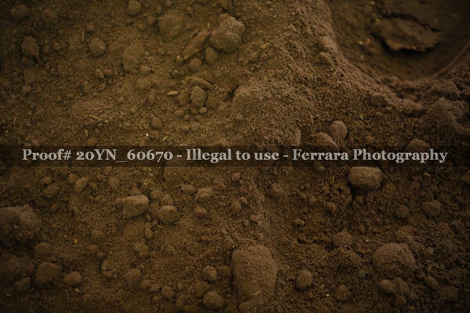 Proof 20YN_60670