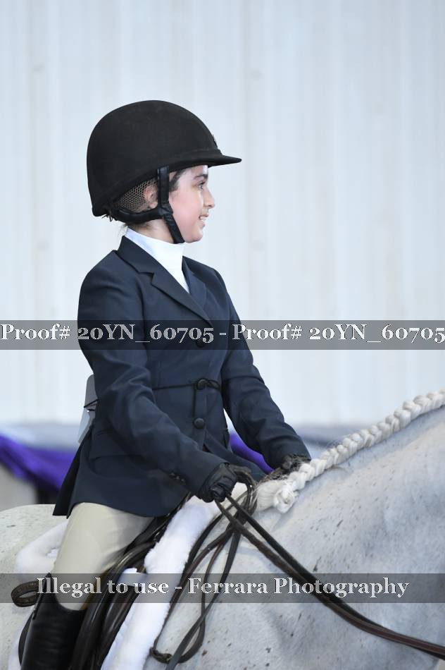 Proof 20YN_60705