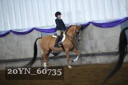 20YN_60735 proof