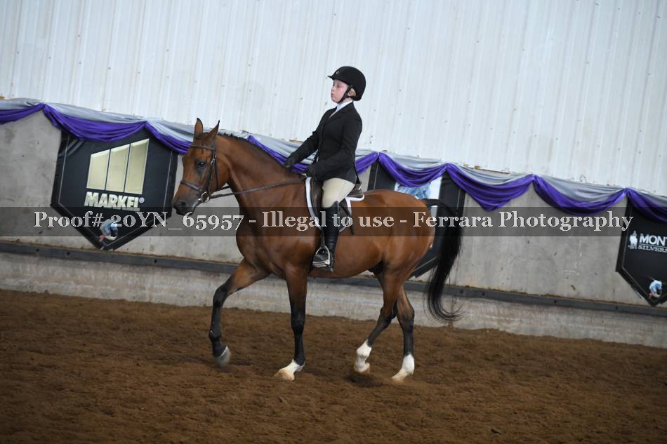 Proof 20YN_65957