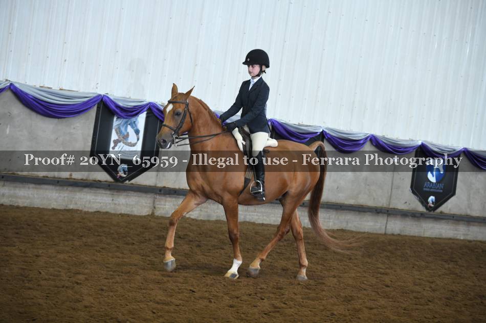Proof 20YN_65959