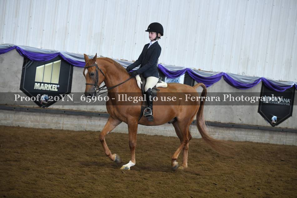 Proof 20YN_65960