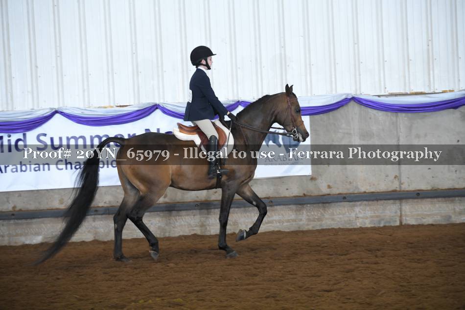Proof 20YN_65979