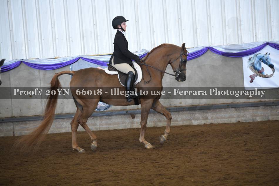 Proof 20YN_66018