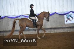20YN_66018 proof