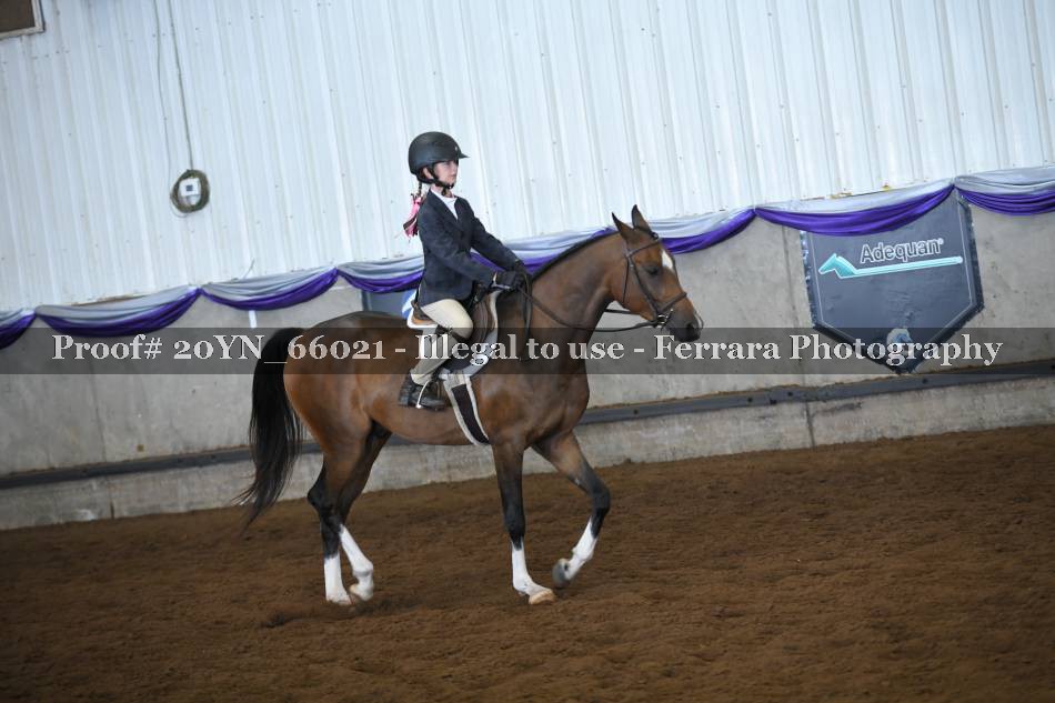 Proof 20YN_66021