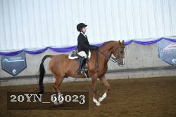20YN_66023 proof
