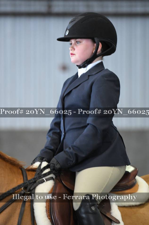 Proof 20YN_66025