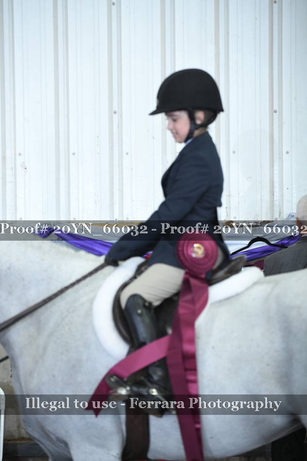 Proof 20YN_66032
