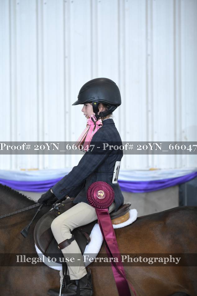Proof 20YN_66047
