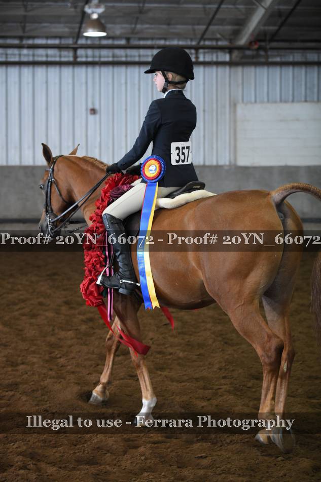 Proof 20YN_66072