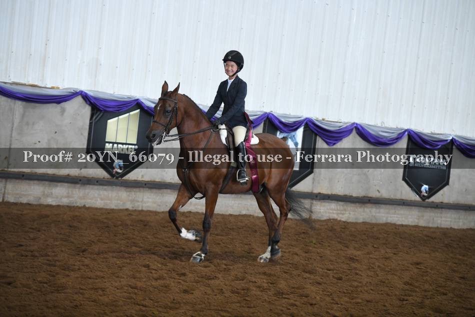 Proof 20YN_66079
