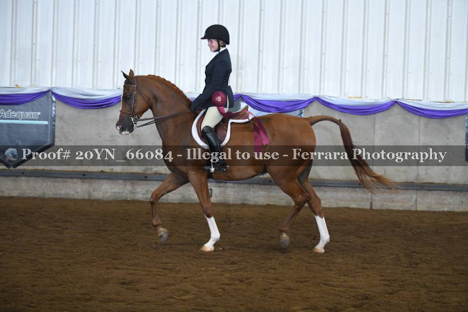 Proof 20YN_66084