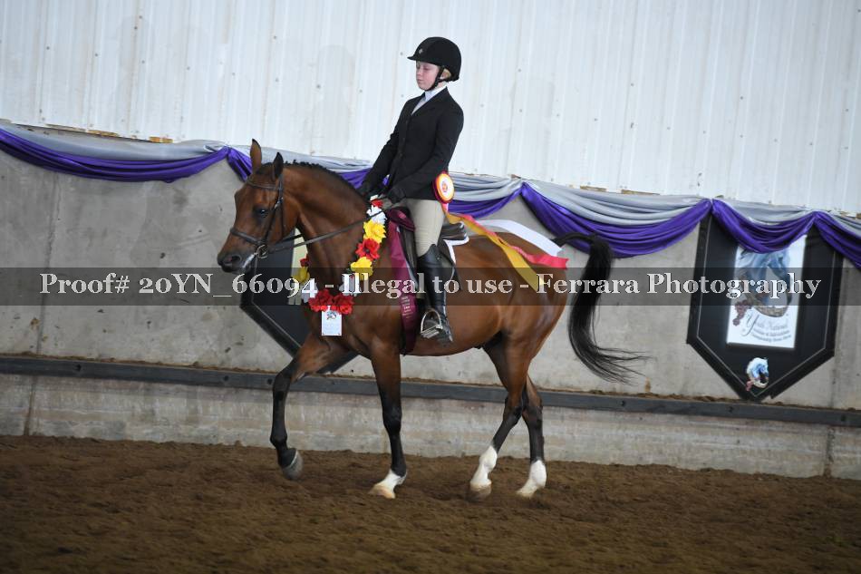 Proof 20YN_66094