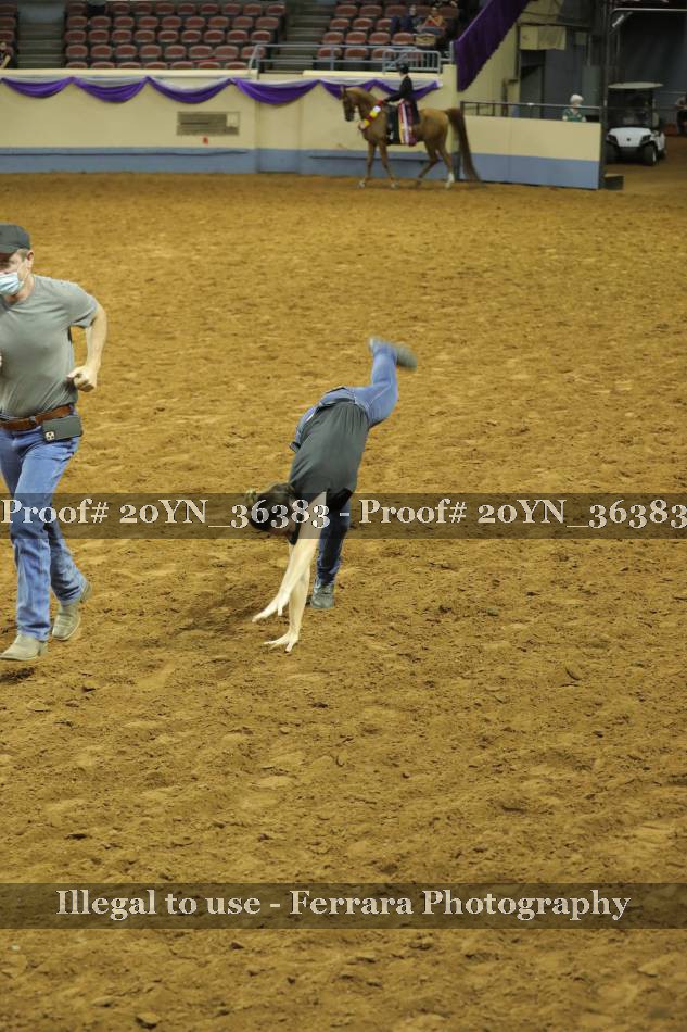 Proof 20YN_36383