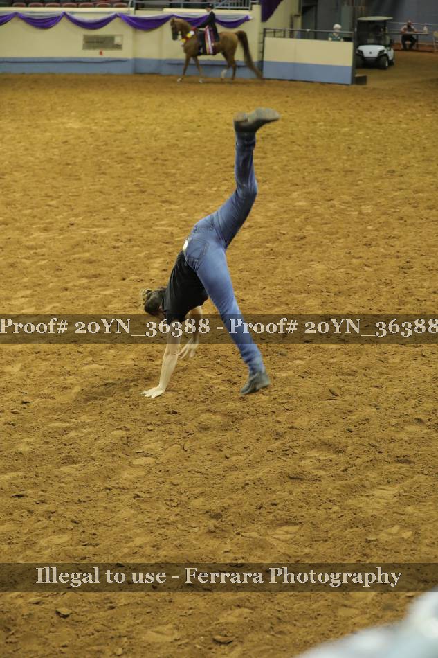 Proof 20YN_36388
