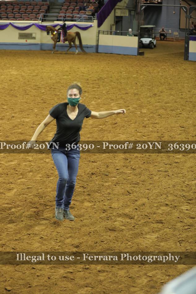 Proof 20YN_36390