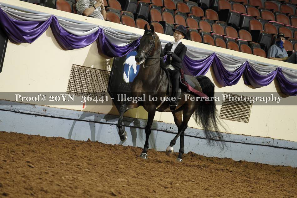 Proof 20YN_36441