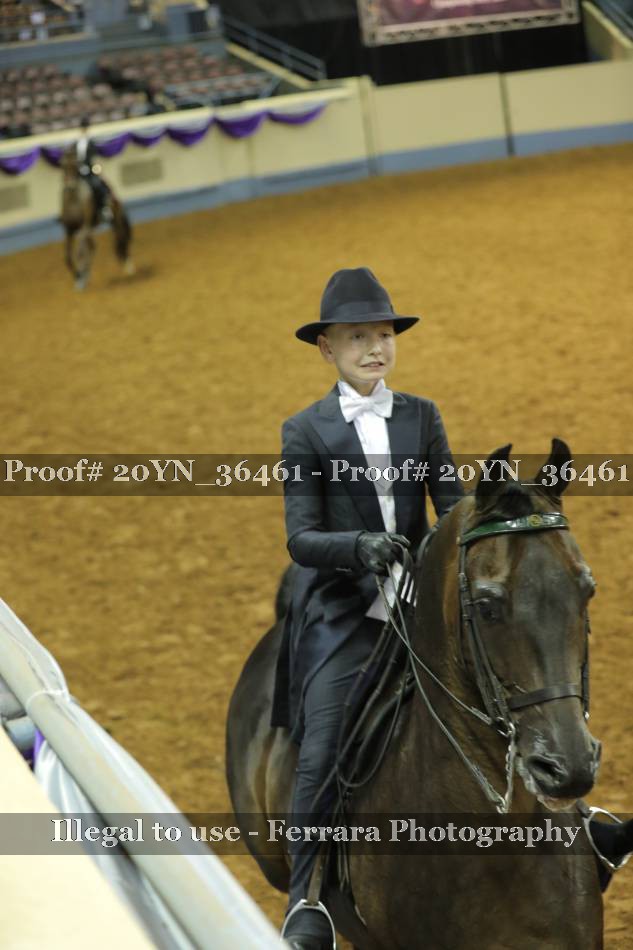 Proof 20YN_36461