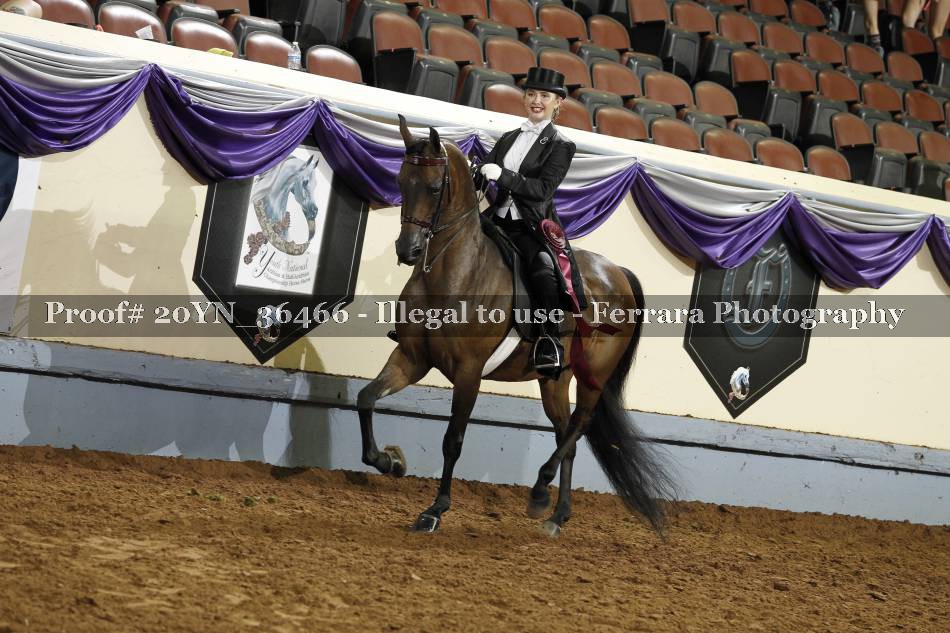 Proof 20YN_36466