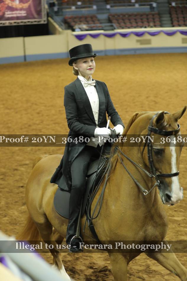 Proof 20YN_36480