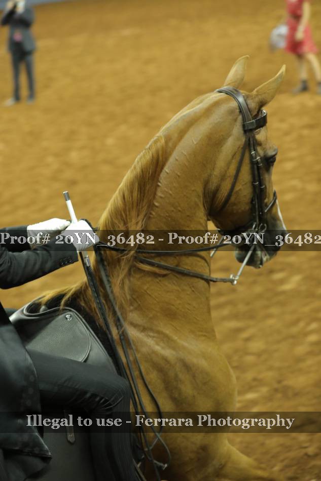 Proof 20YN_36482