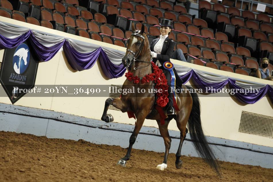Proof 20YN_36490