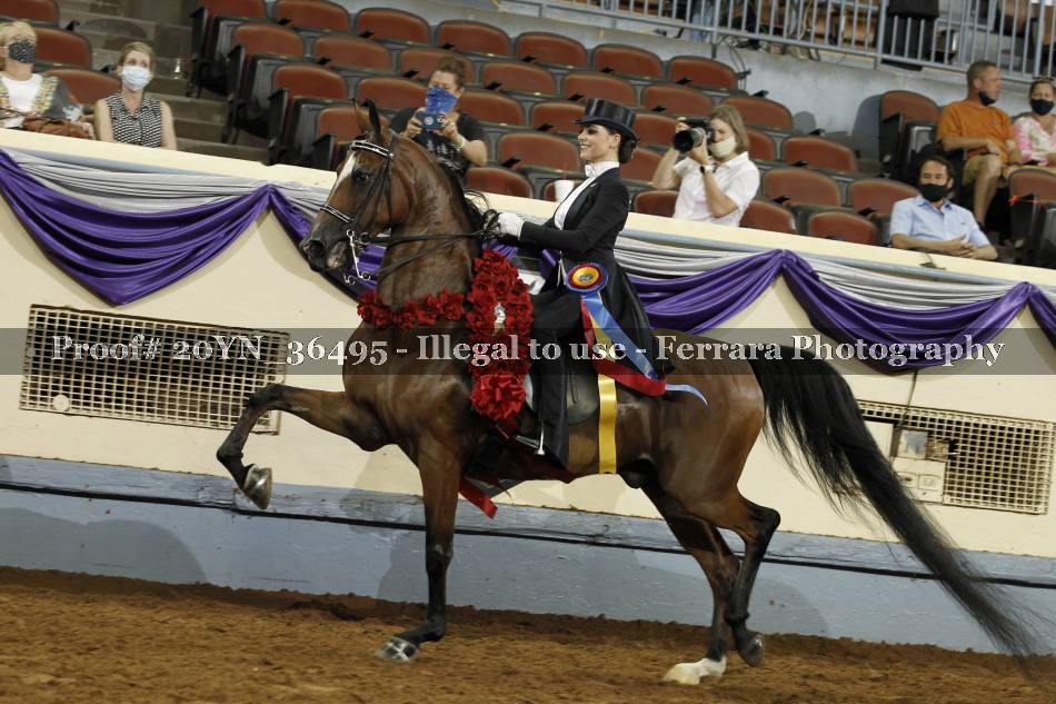 Proof 20YN_36495