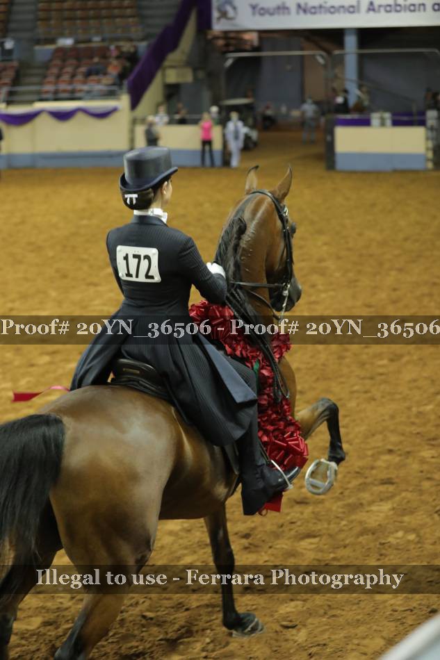 Proof 20YN_36506