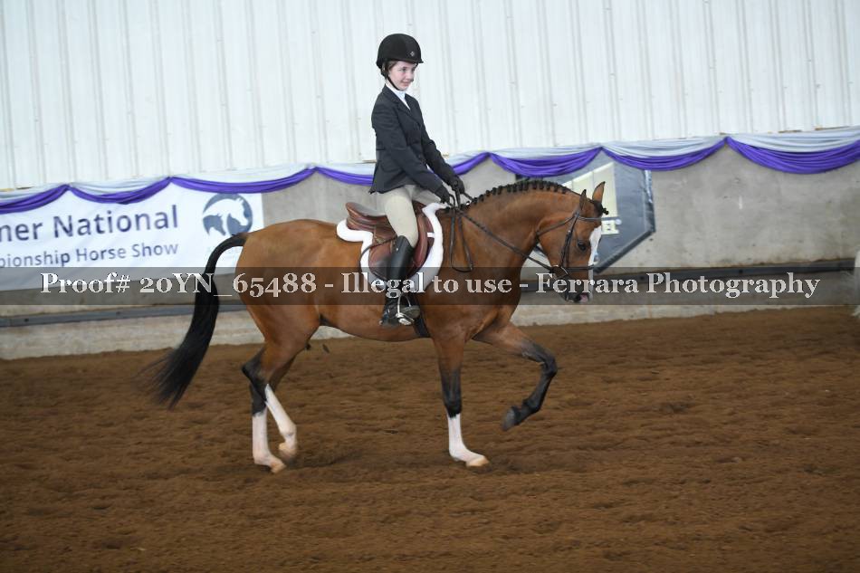 Proof 20YN_65488
