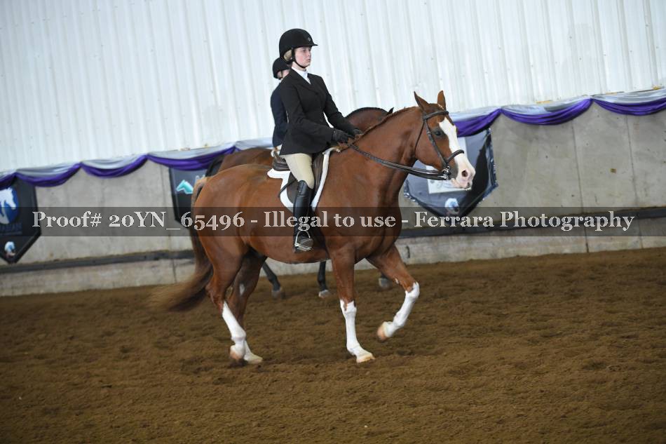 Proof 20YN_65496
