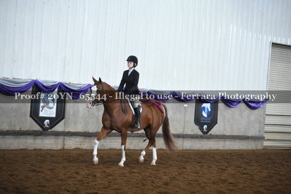 Proof 20YN_65544