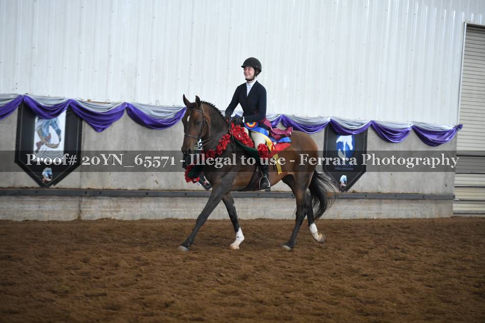 Proof 20YN_65571