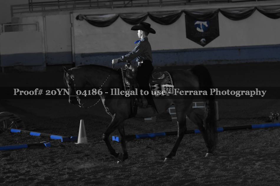 Proof 20YN_04186