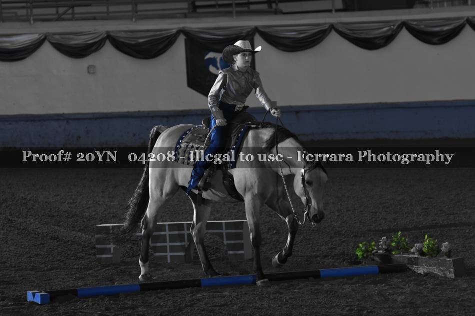 Proof 20YN_04208