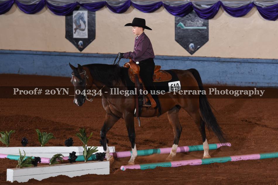 Proof 20YN_04234