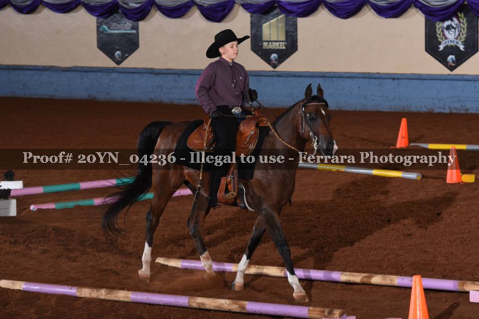 Proof 20YN_04236
