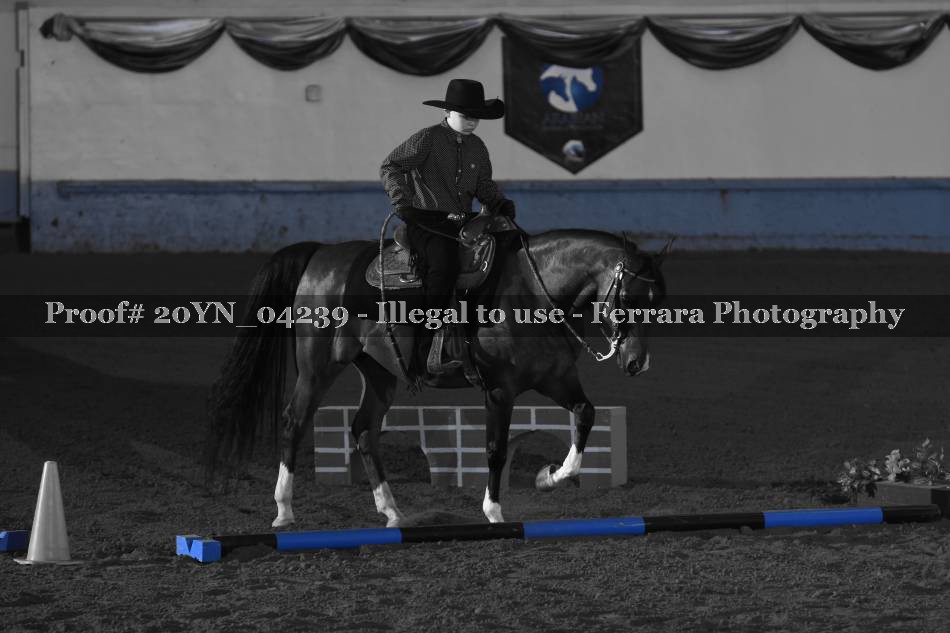 Proof 20YN_04239