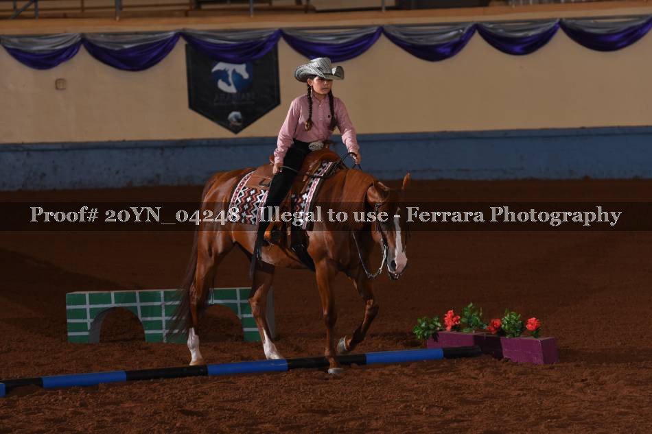 Proof 20YN_04248