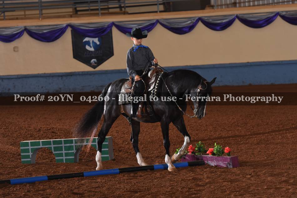 Proof 20YN_04260